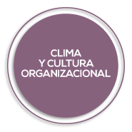 cdt